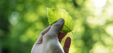 Nachhaltigkeit Nachhaltigkeit